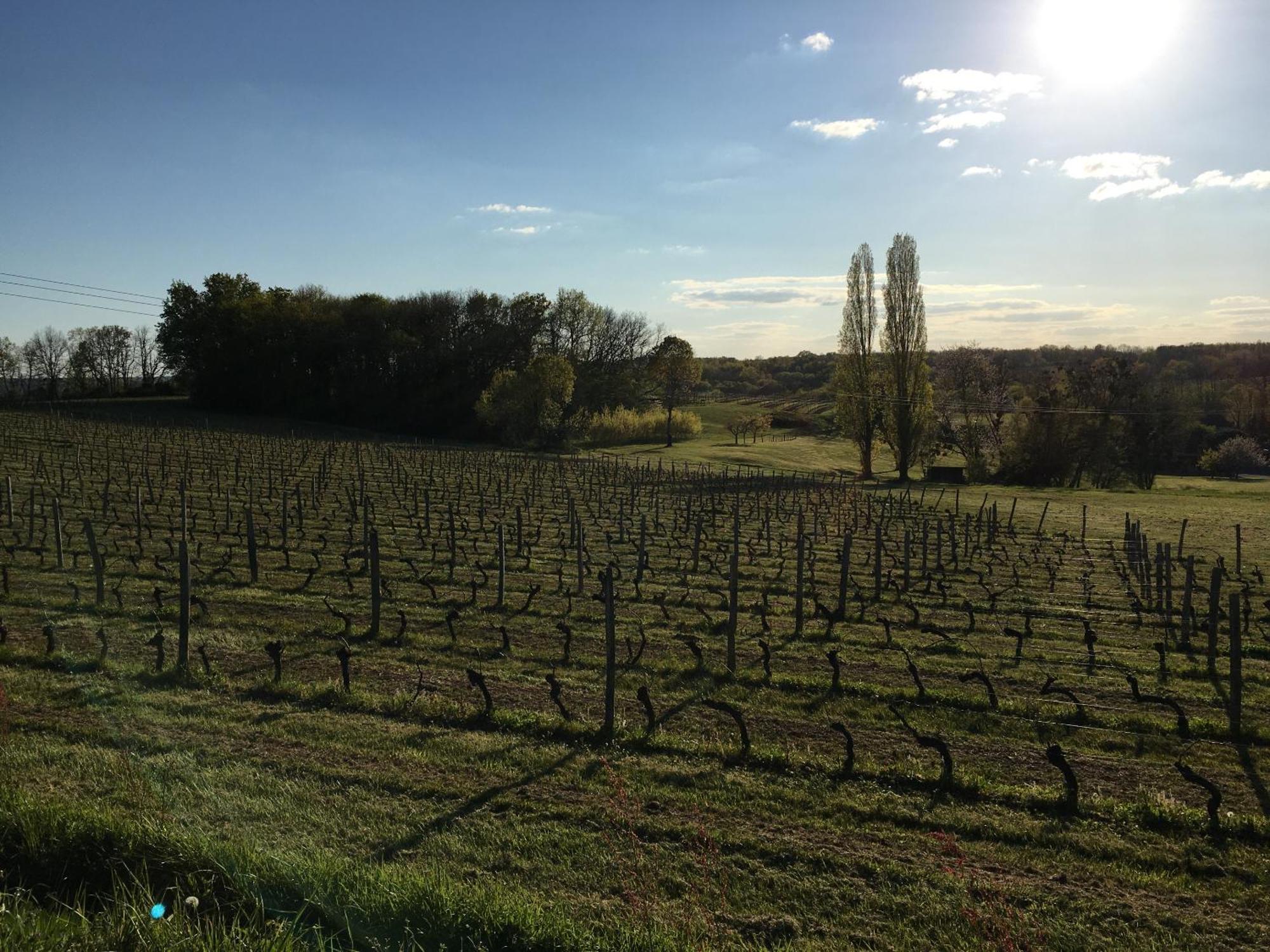 Chateau Masburel Fougueyrolles Zewnętrze zdjęcie